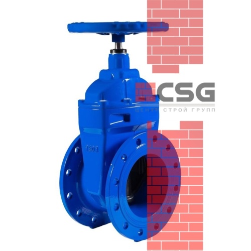 Задвижка чугун аналог МЗВ обрезиненный клин Ду 250 Ру10 до +75С фл Завод им Гаджиева, DN 250